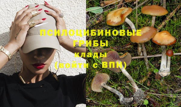 стафф Армянск
