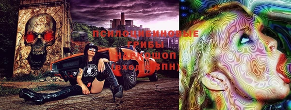 круглые Аркадак