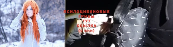 стафф Армянск