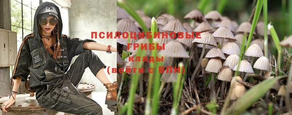 дурь Алзамай