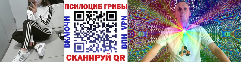 Галлюциногенные грибы Psilocybe Усть-Катав