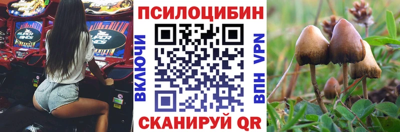 магазин продажи наркотиков  Усть-Катав  Галлюциногенные грибы мицелий 
